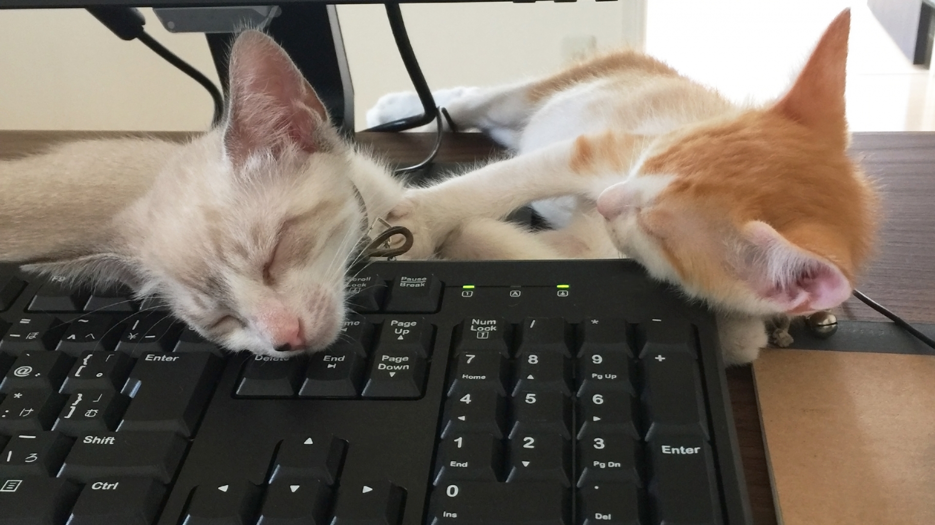 エンジニアの年収の上げ方を「本気で考える会社」が大切にしていること｜AtomBase株式会社